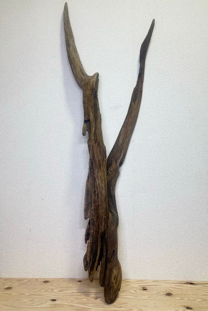 Ｇ37 灰汁抜き済み流木　爬虫類シェルター　観葉植物　インテリア