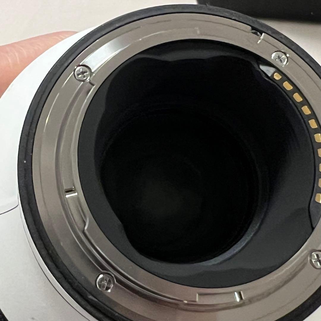 SIGMA Sports 70-200mm F2.8 DG DN OSソニーE