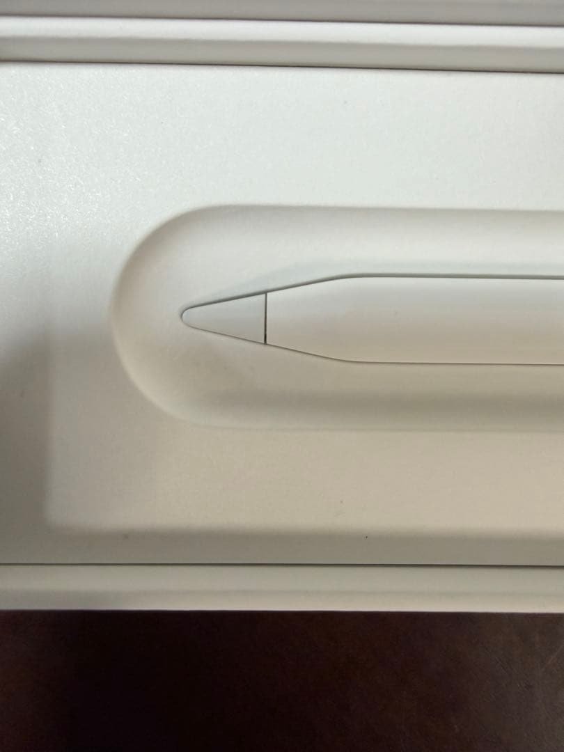 iPadアクセサリー Apple Pencil (USB-C)