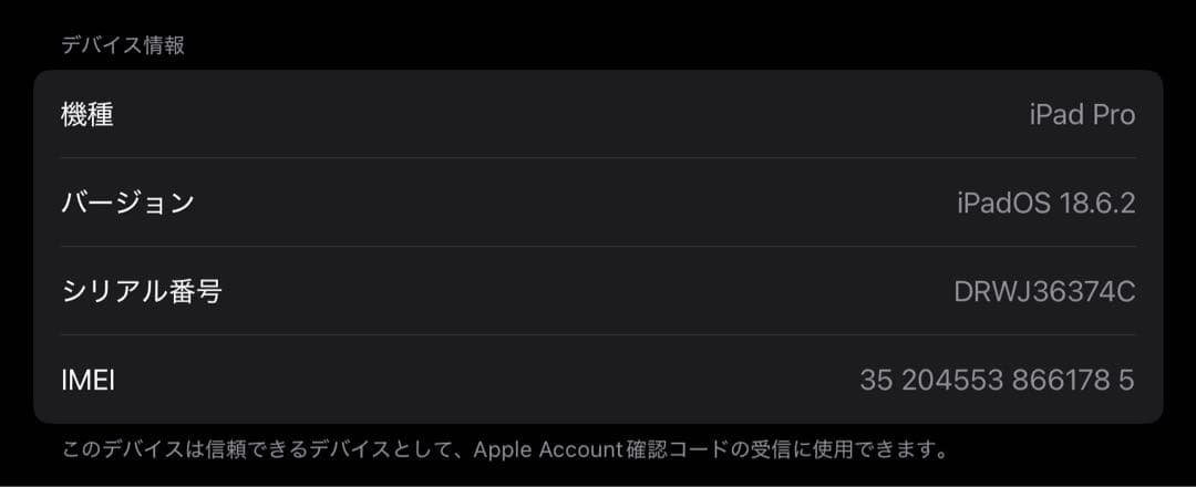 iPad本体 iPad Pro M4 13inch 256GB Wi-Fi+Cellular